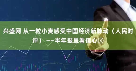兴盛网 从一粒小麦感受中国经济新脉动（人民时评） ——半年报里看信心③