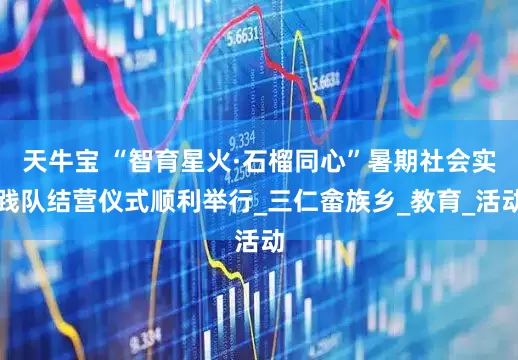 天牛宝 “智育星火·石榴同心”暑期社会实践队结营仪式顺利举行_三仁畲族乡_教育_活动