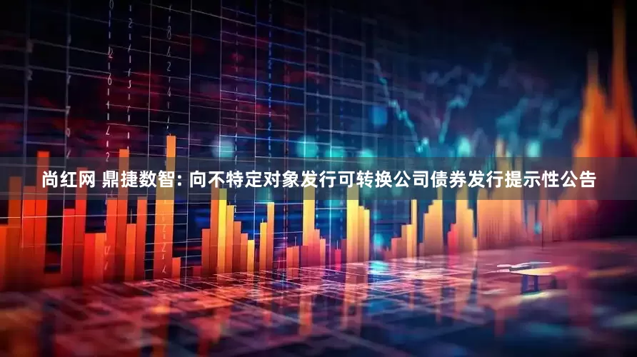 尚红网 鼎捷数智: 向不特定对象发行可转换公司债券发行提示性公告