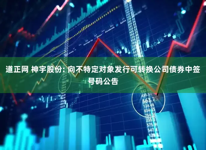 道正网 神宇股份: 向不特定对象发行可转换公司债券中签号码公告